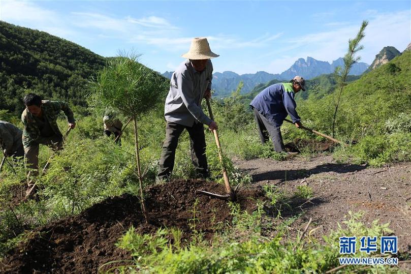 河北承德：实施雨季造林攻坚 建设京津生态屏障